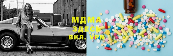 индика Богородицк