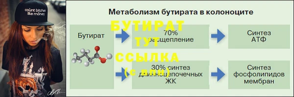 индика Богородицк